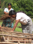 Women's garden